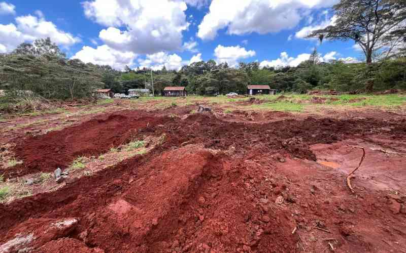 Kenya's forests under siege as development pressure mounts