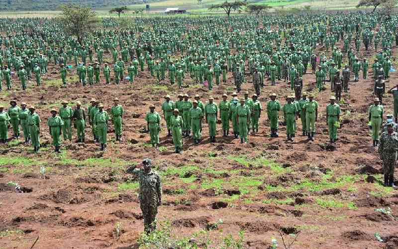 Kuria says NYS to help rangers protect forests