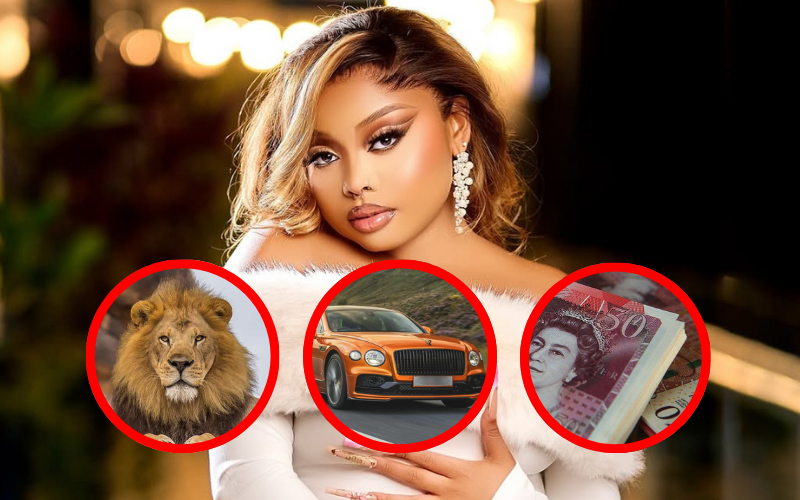 Sh89 bn, Bentleys, lions: Sandra Mbuvi's full list of demands before marrriage