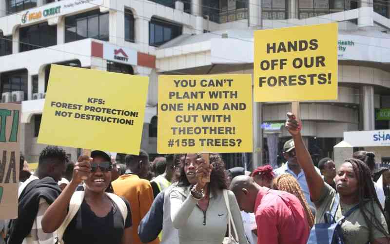 More than 60, 000 Kenyans join fight to stop deforestation
