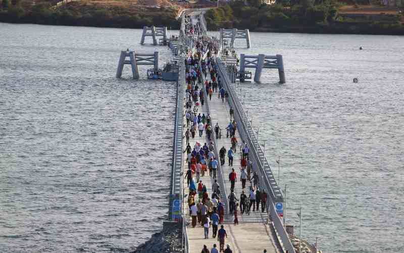 Why Sh1.9b Coast floating bridge turned into a 'white elephant'