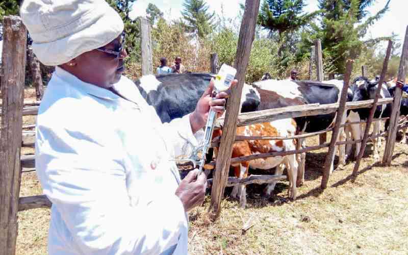 Alarm over rise in counterfeit veterinary drugs