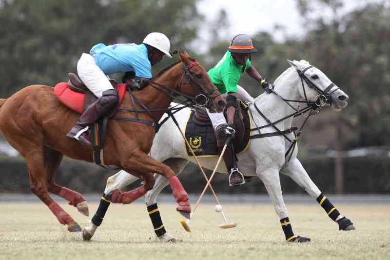 Polo action returns at Nairobi Polo Club