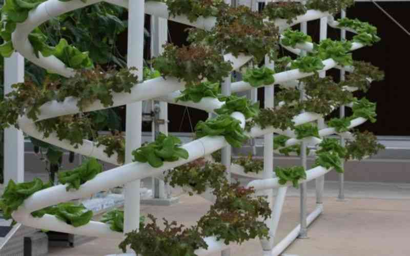 Is it time to explore space to grow food?