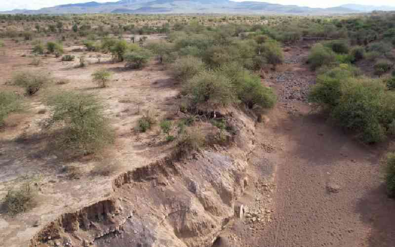 Kenya becoming a desert due to poor land use, experts now warn