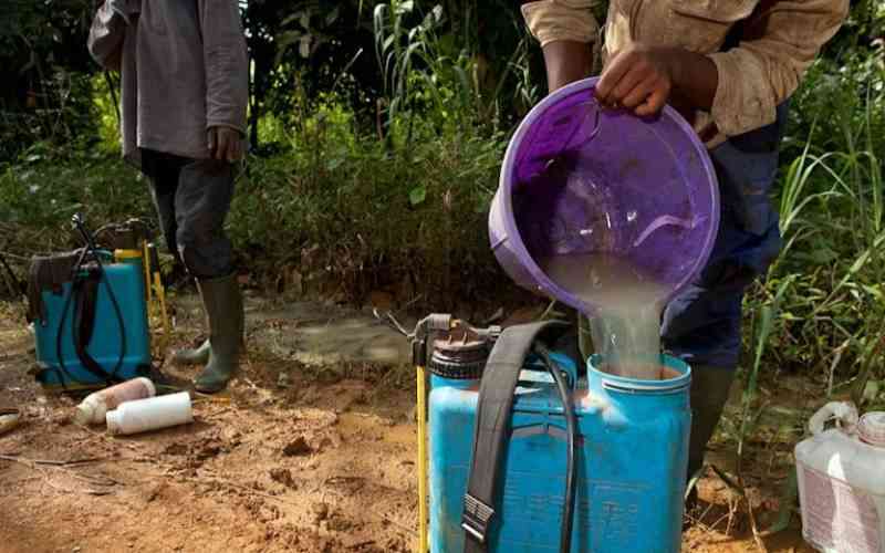 Continued sale of illegal pesticides persists despite increased crackdown, auditor-general finds