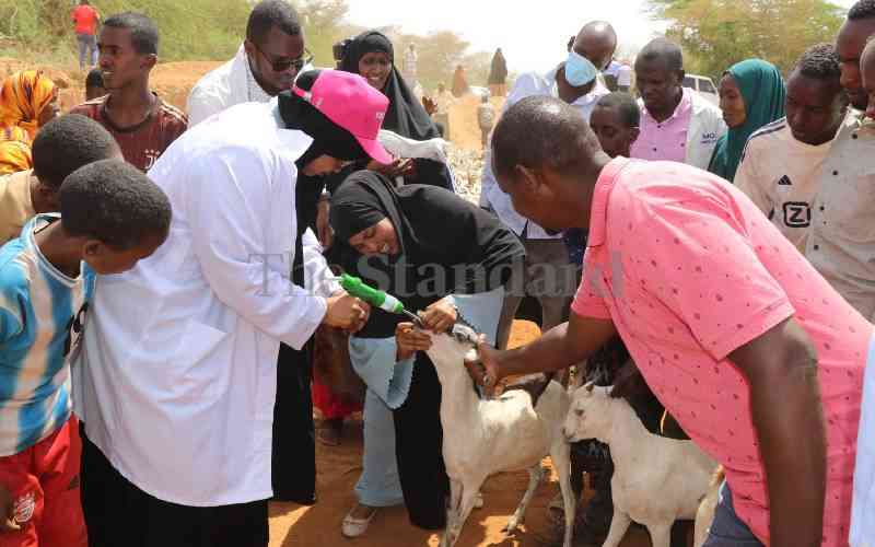 Some 266 Mandera homes to benefit from Goats Restocking Programme