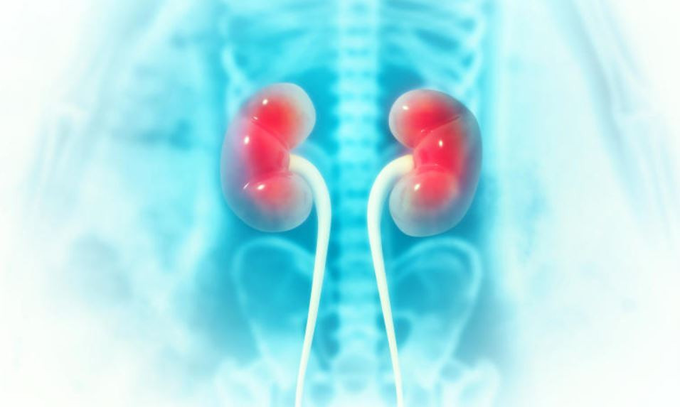 How new Transplant law could improve access to kidney treatment, blood donation