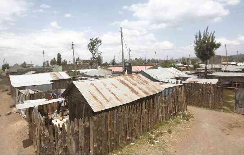 Why court halted Ruto's PEV settlement plan on disputed 755-acre Ndonga Farm