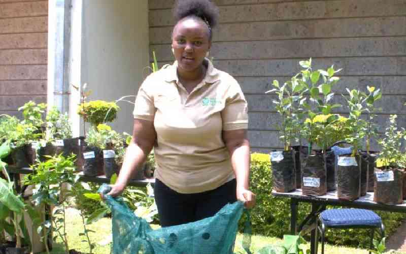 From silos to systems: Experts push for stronger agricultural extension services