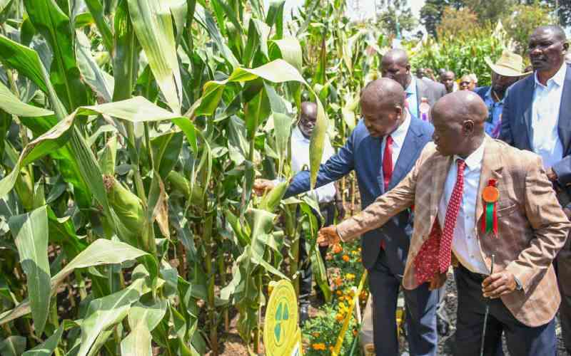 Kenya must speed up reforms to improve food safety