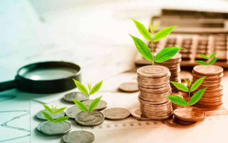 Investment fund crosses Sh20b mark after 77pc growth