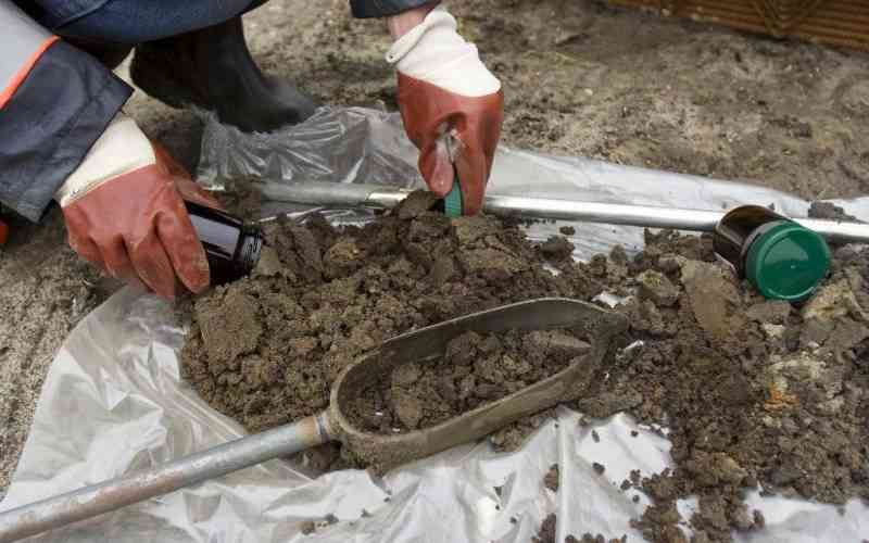 Kenya's soil crisis: How data is the new fertiliser