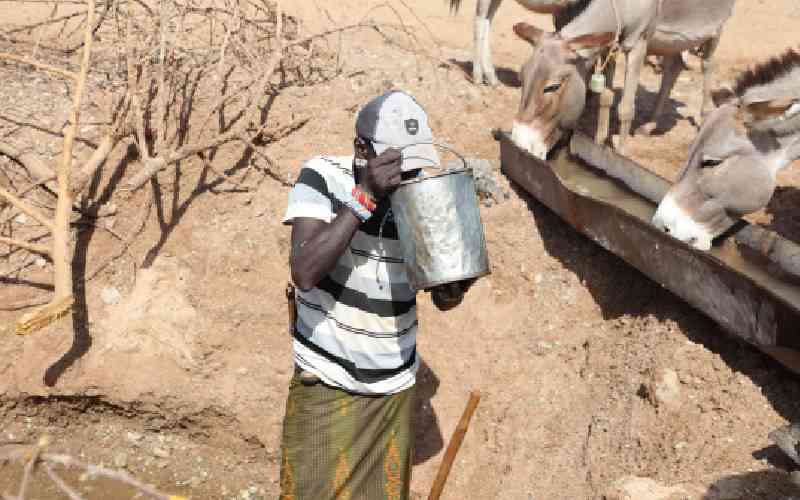 Pray and fast, but also take care of care of animals during Lent
