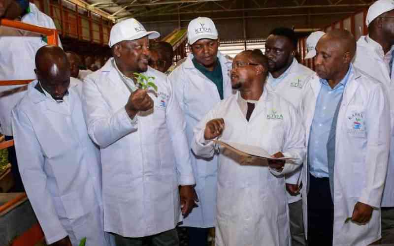 Kagwe assures Kenyans of food security despite drought