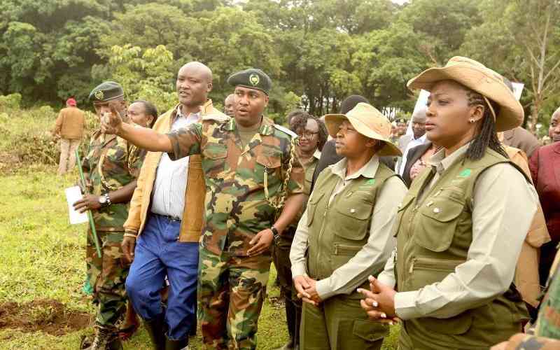 Buy a seedling or two, CS Tuya tells Kenyans ahead of Monday's tree planting