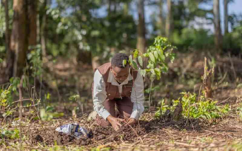 Baringo leaders snub First Lady's Kitchen Garden rollout event
