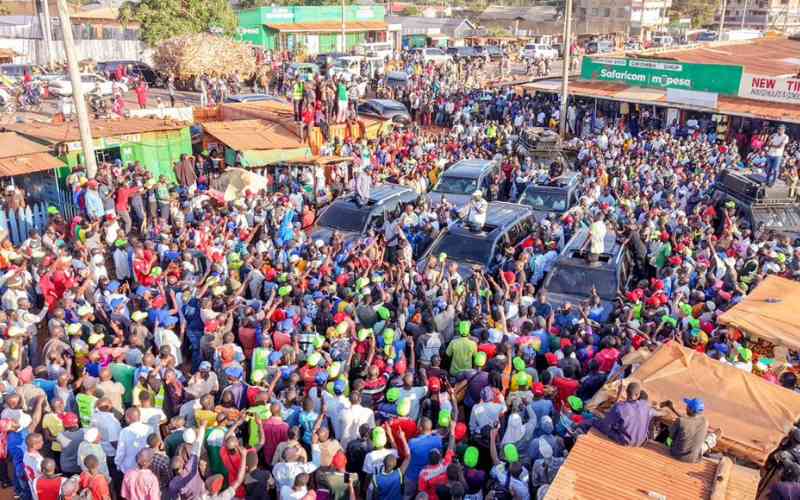 United Opposition projects unity as fight for Western continues
