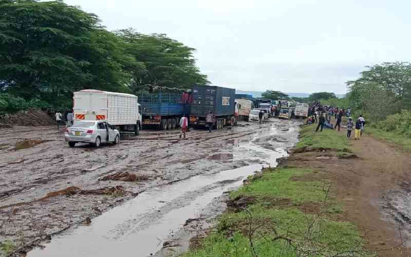 Harvest road runoff to reduce water scarcity