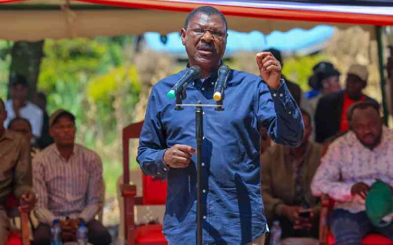 NG-CDF is going nowhere, Wetangula tells critics