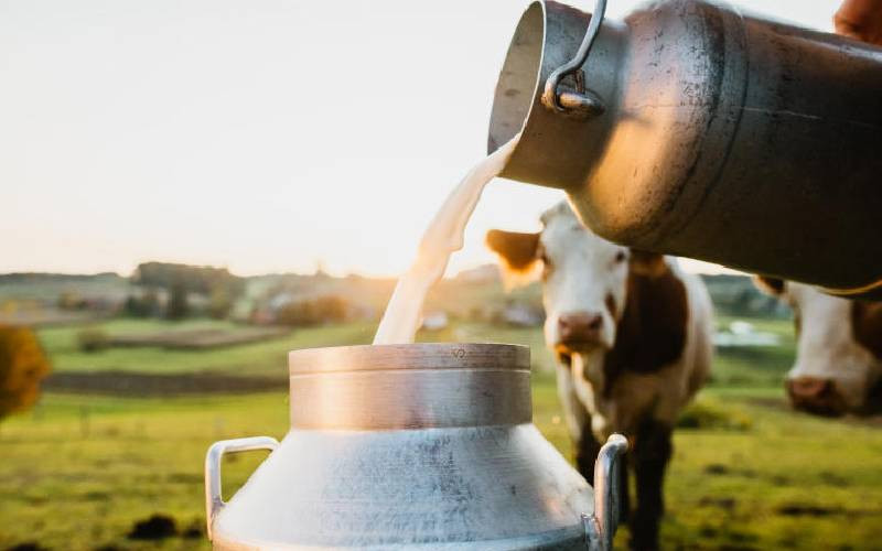 Pressure mounts on Kenya to end row over Uganda's milk imports