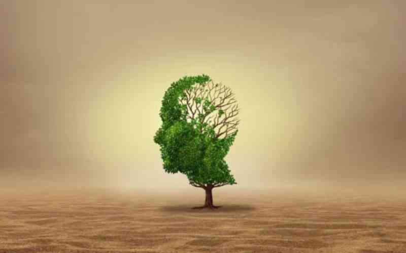 Climate shocks strain Kenya's health systems as stakeholders push for resilience and reform