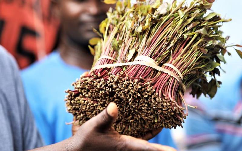Somalia opens market to miraa after ban lifted