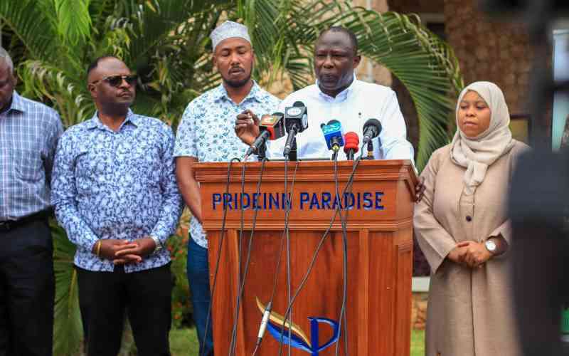 Recalling clumsy MPs is all smoke and no fire