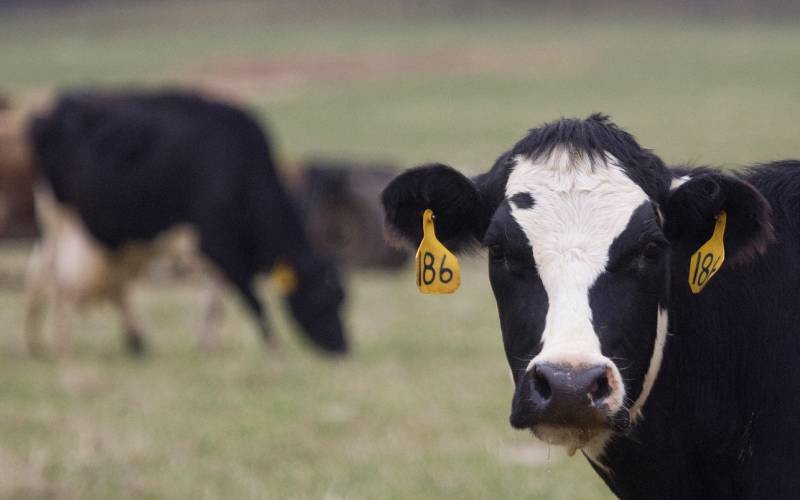 Expos should not miss on dairy farmers' diaries