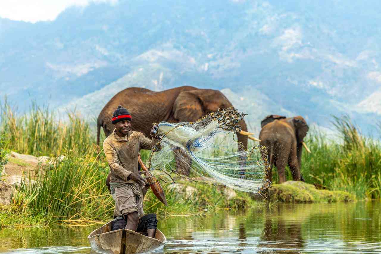 Can science predict Africa's next human-elephant conflict?