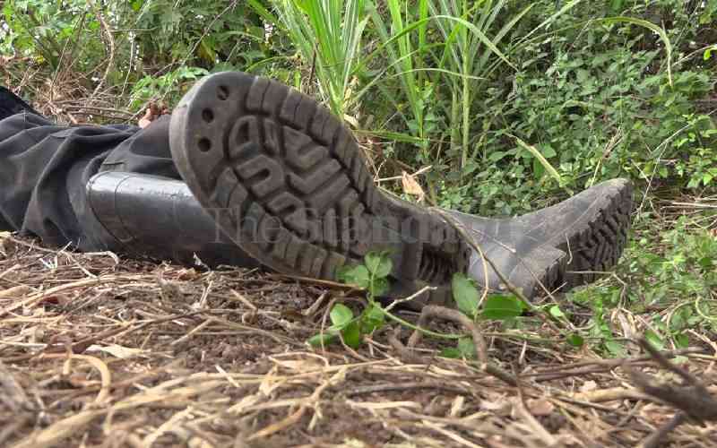 Police shoot dead transformer vandal in Thika