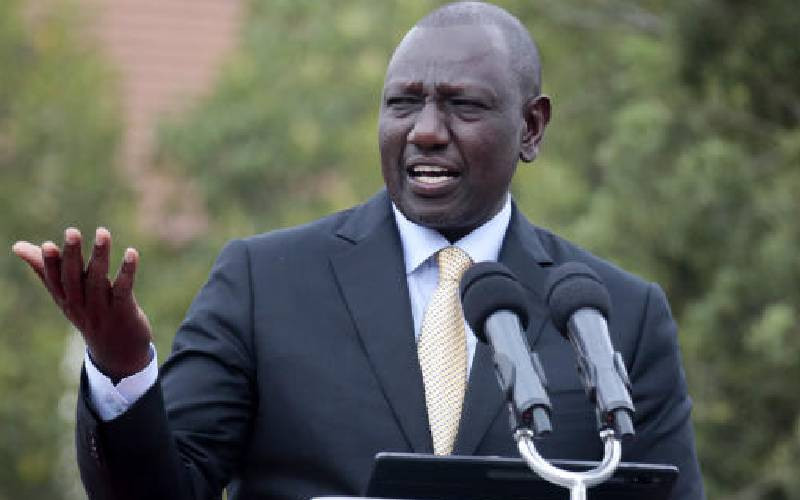 Ruto's haste to introduce more taxes will turn out to be a wild goose chase