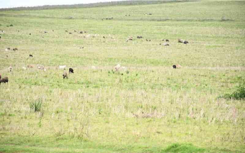 MCAs protest Olkiombo land take over, urge President to intervene