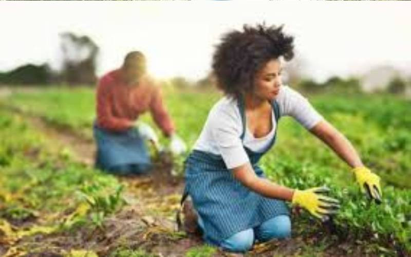 Invest in our women farmers to achieve sustainable growth