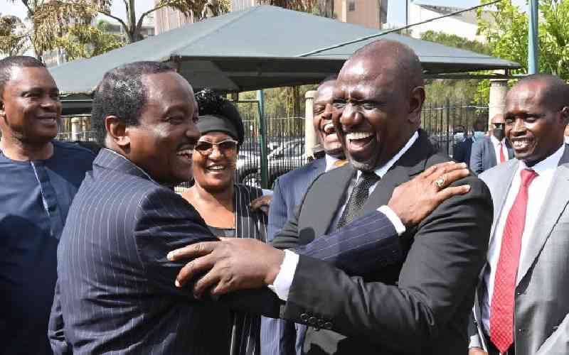 The high cost of Kalonzo Musyoka's thin skin