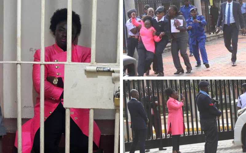 VIDEO: Moment Gloria Orwoba was arrested, detained after blocking Parliament entrance