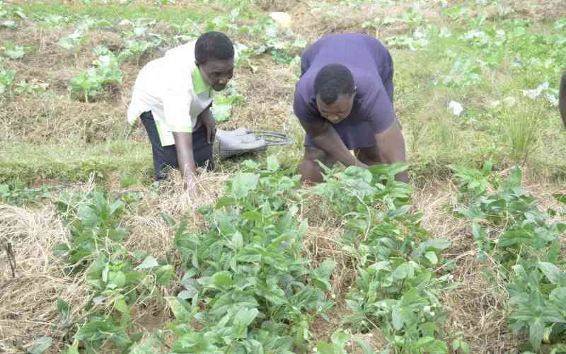 State tipped on strategies to lure youth into agriculture