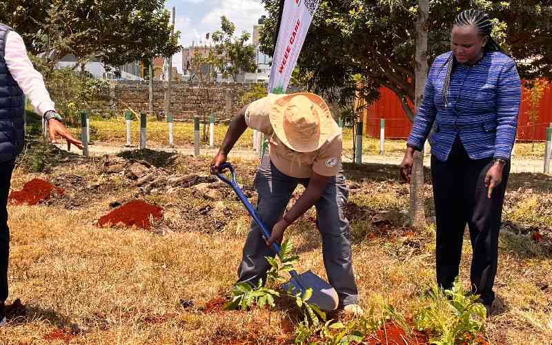 Kenya pushes for AI innovation in waste management to tackle climate crisis