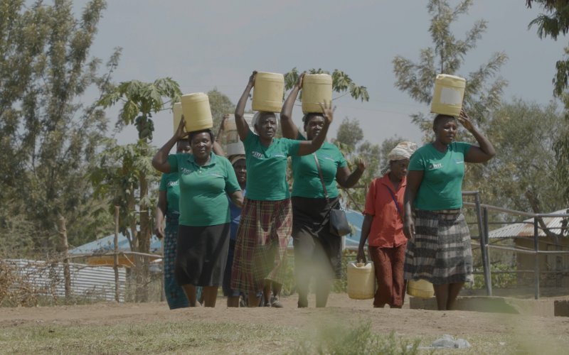 Widow Champion: Inside Kisumu widows' painful fight for land, dignity