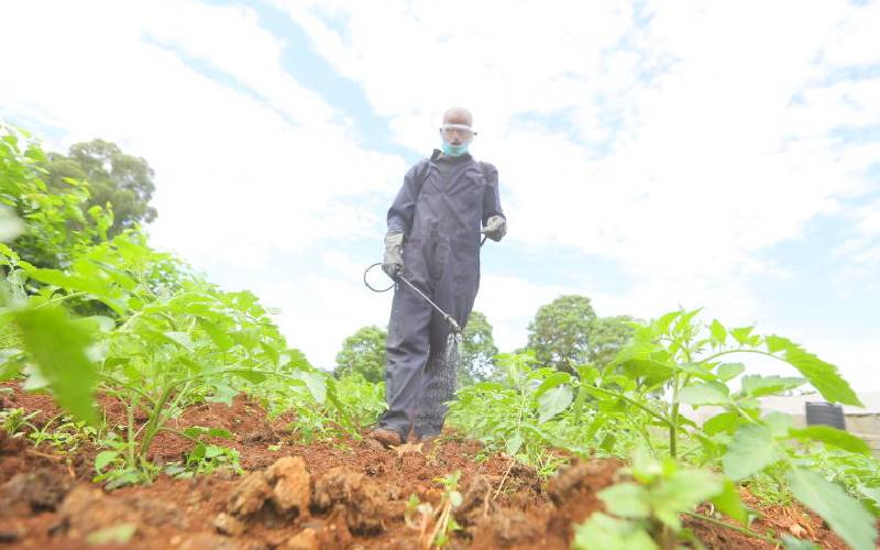 Red alert as farmers misuse pesticides