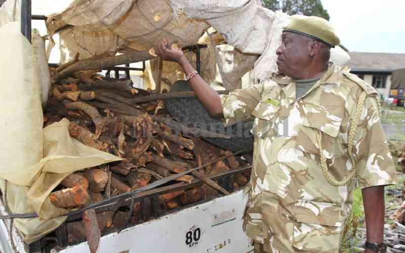 Report links illegal sandalwood trade to banditry, blames Uganda