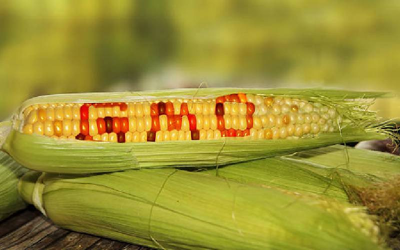 Court suspends decision to lift the ban on GMO foods