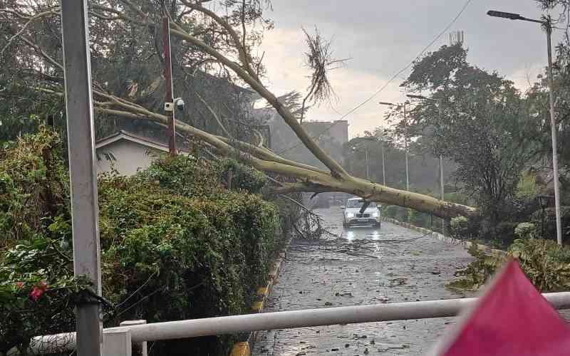 Nairobi's perennial flooding crisis: a failure of promises and planning