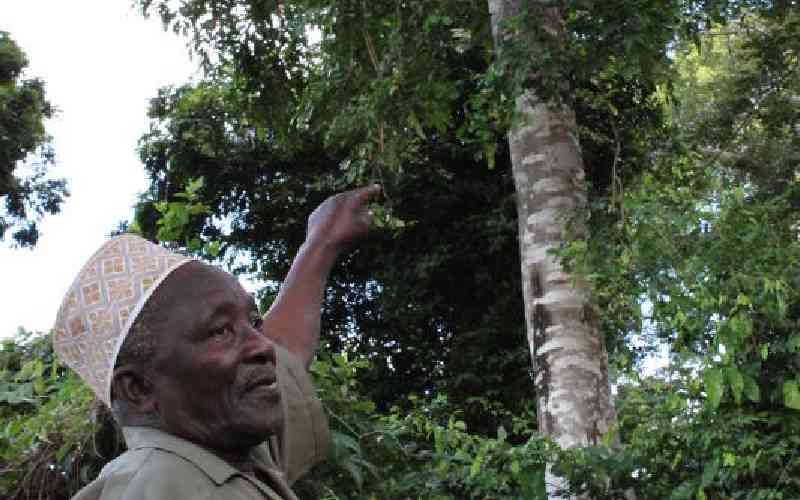 Trillions vs taboos: US firm entry rekindles war for Mrima Hill soul