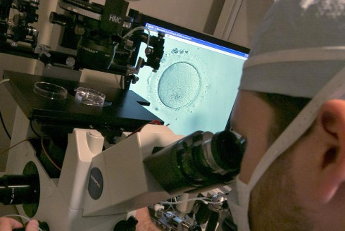 Race gap seen in US infant deaths after fertility treatment