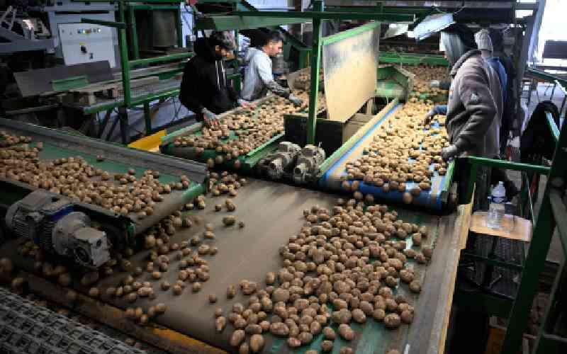 Bumper potato harvests spell crisis for European farmers