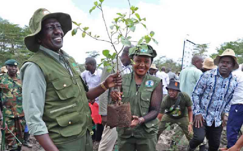 Shutting down the country to plant trees masks our leadership failures