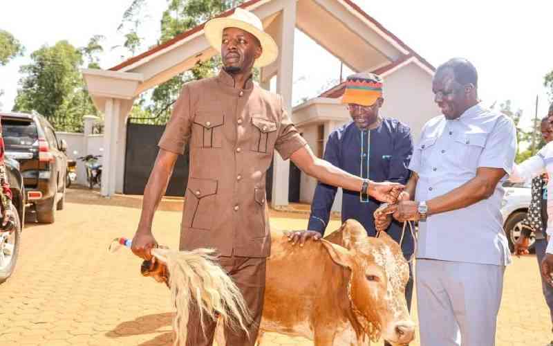 Appeasing the gods: Raila Odinga's 'shadow and spirit' released from Oparanya's home