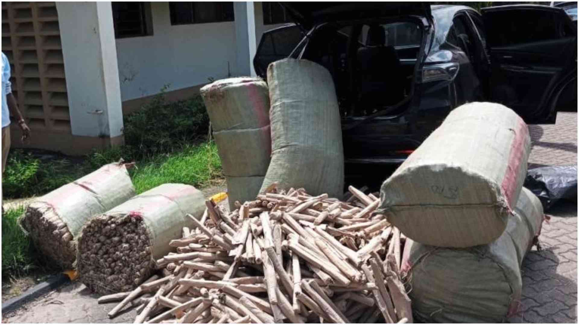 Kayole man tells court he smokes 'kishash' because he is lonely, fined Sh11,000