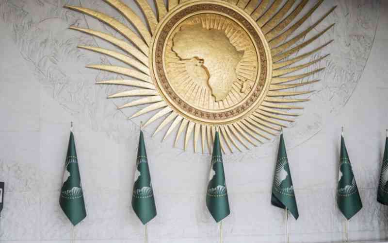 Africa pushes for urgent climate action as AU adopts frameworks